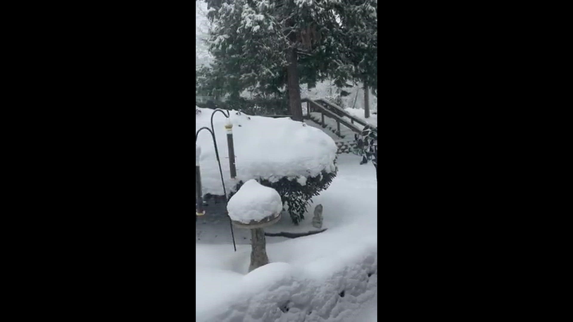 Snow on Pollock Pines, submitted on Feb. 26.
Credit: Judi Coupar