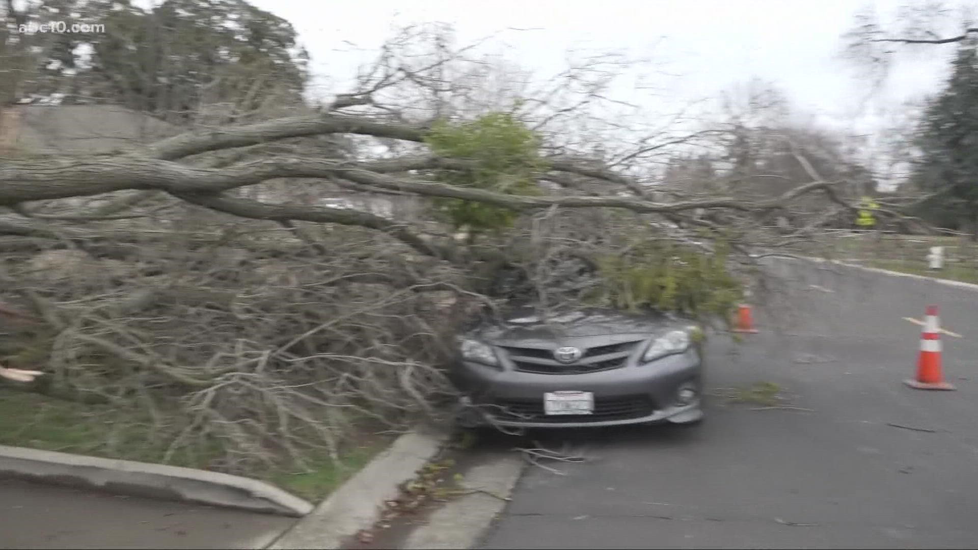 With the storm on the way, Sacramento homeowners are preparing for the gusty conditions to start turning up.