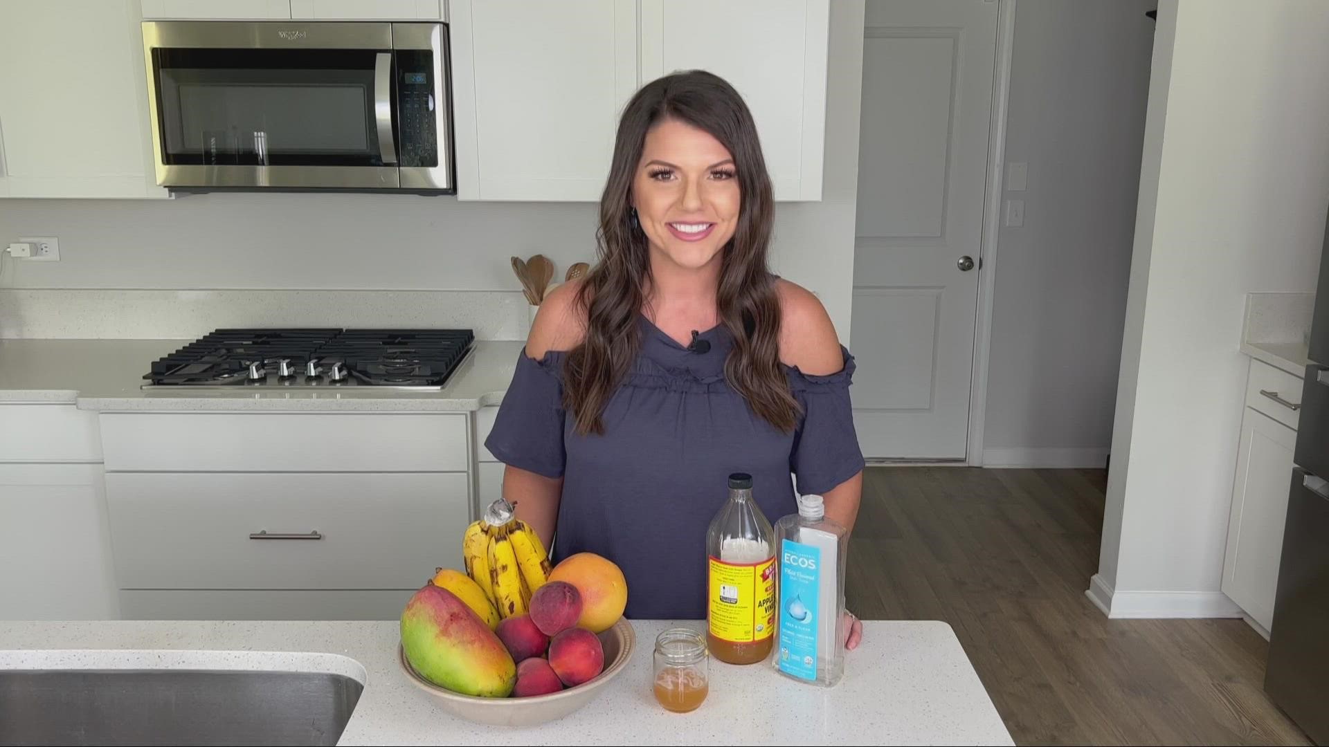 Megan Evans reveals a hack to get rid of gnats and fruit flies that can be done with just 2 ingredients.
