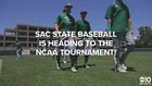 Sports Standout: Sac State Hornets Baseball in NCAA Tournament
