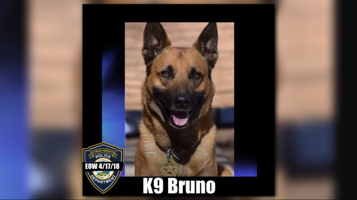 Citrus Heights Police mourn death of former K9 officer Bruno