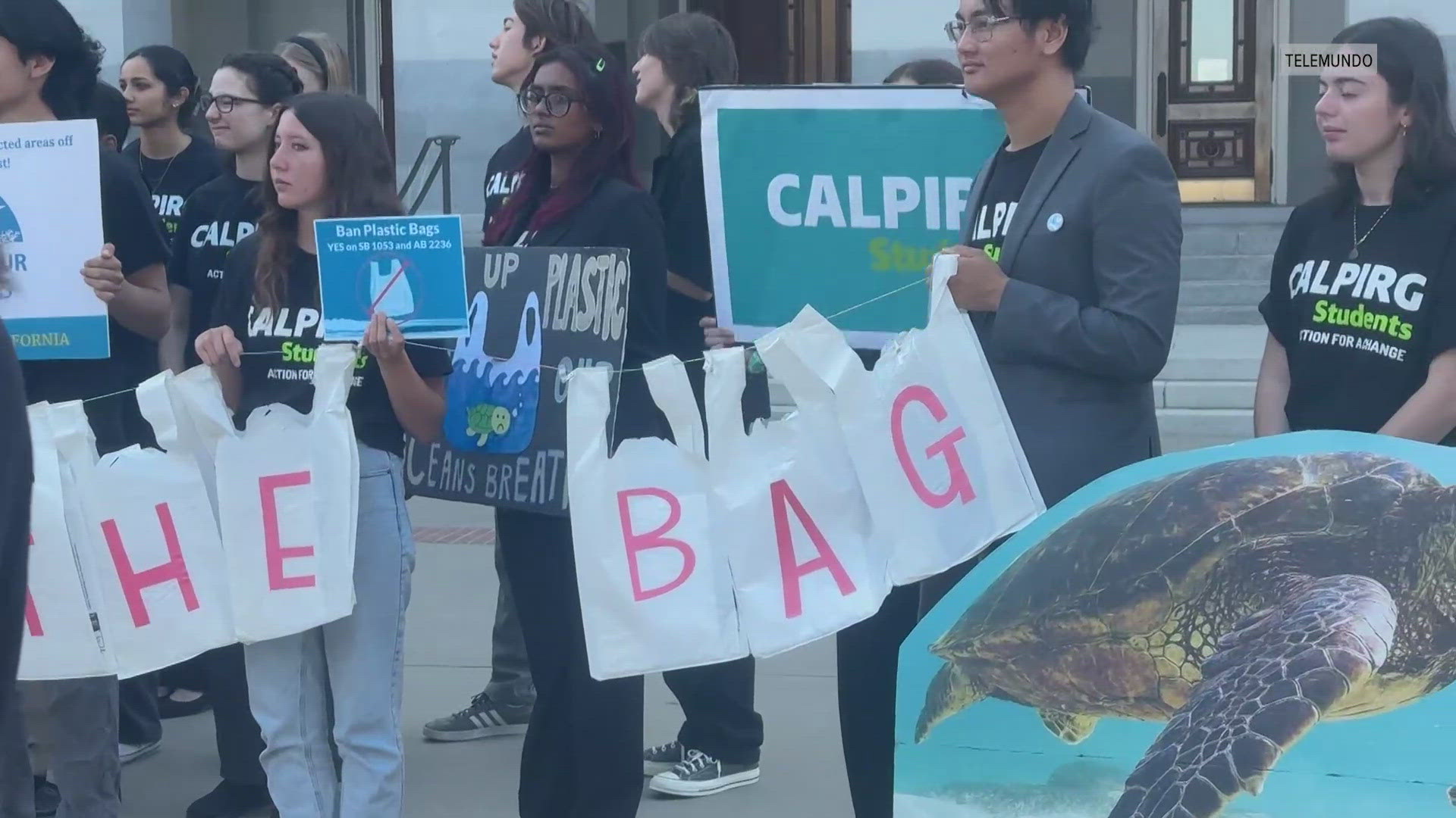 Both SB 1053 and AB 2236 would completely ban plastic carryout bags in grocery and convenience stores.