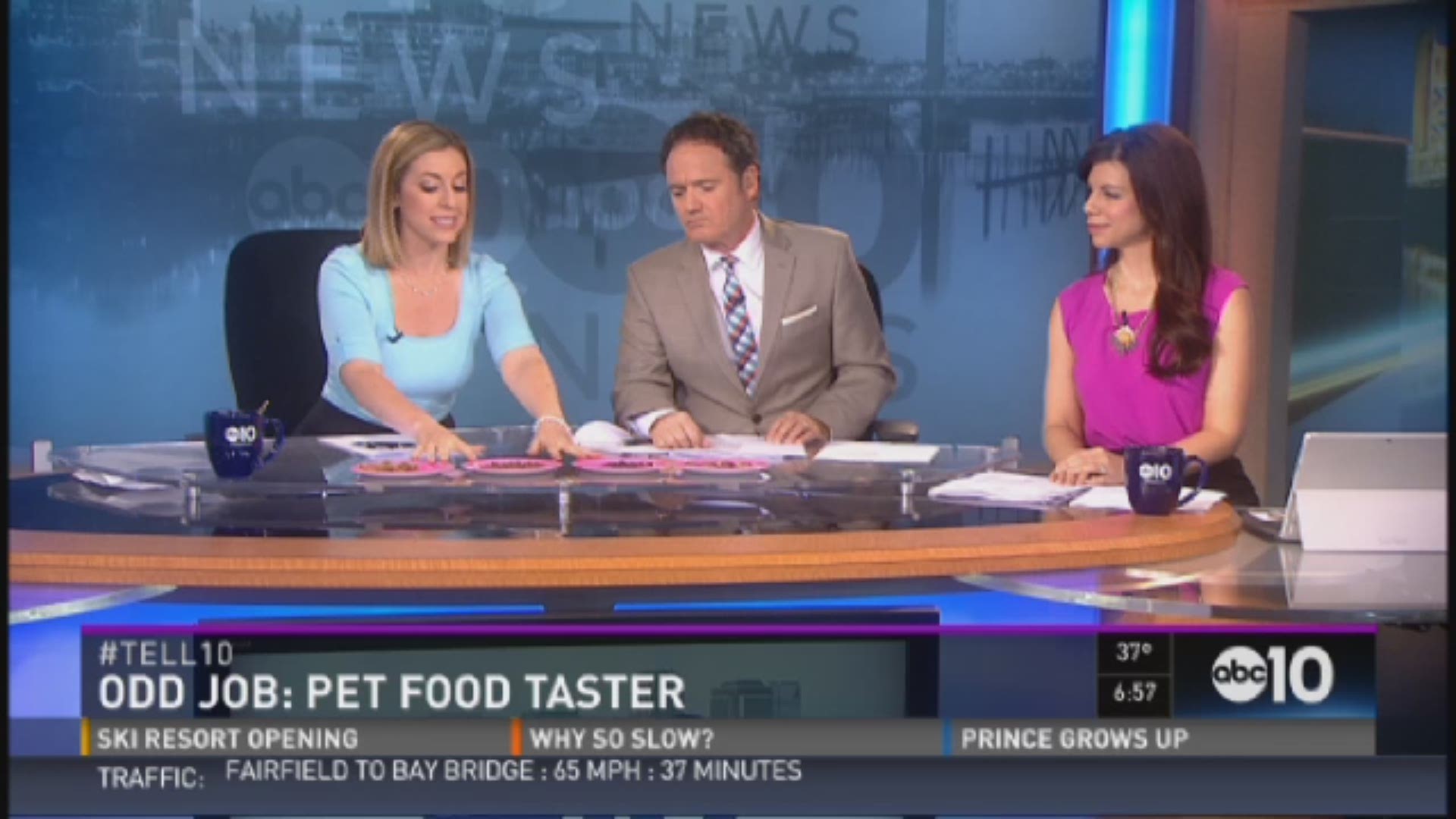 How Much Do Dog Food Tasters Get Paid