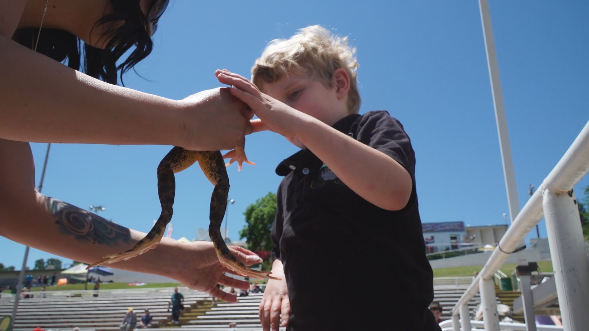 Photos: Jumping Frog Jubilee | abc10.com