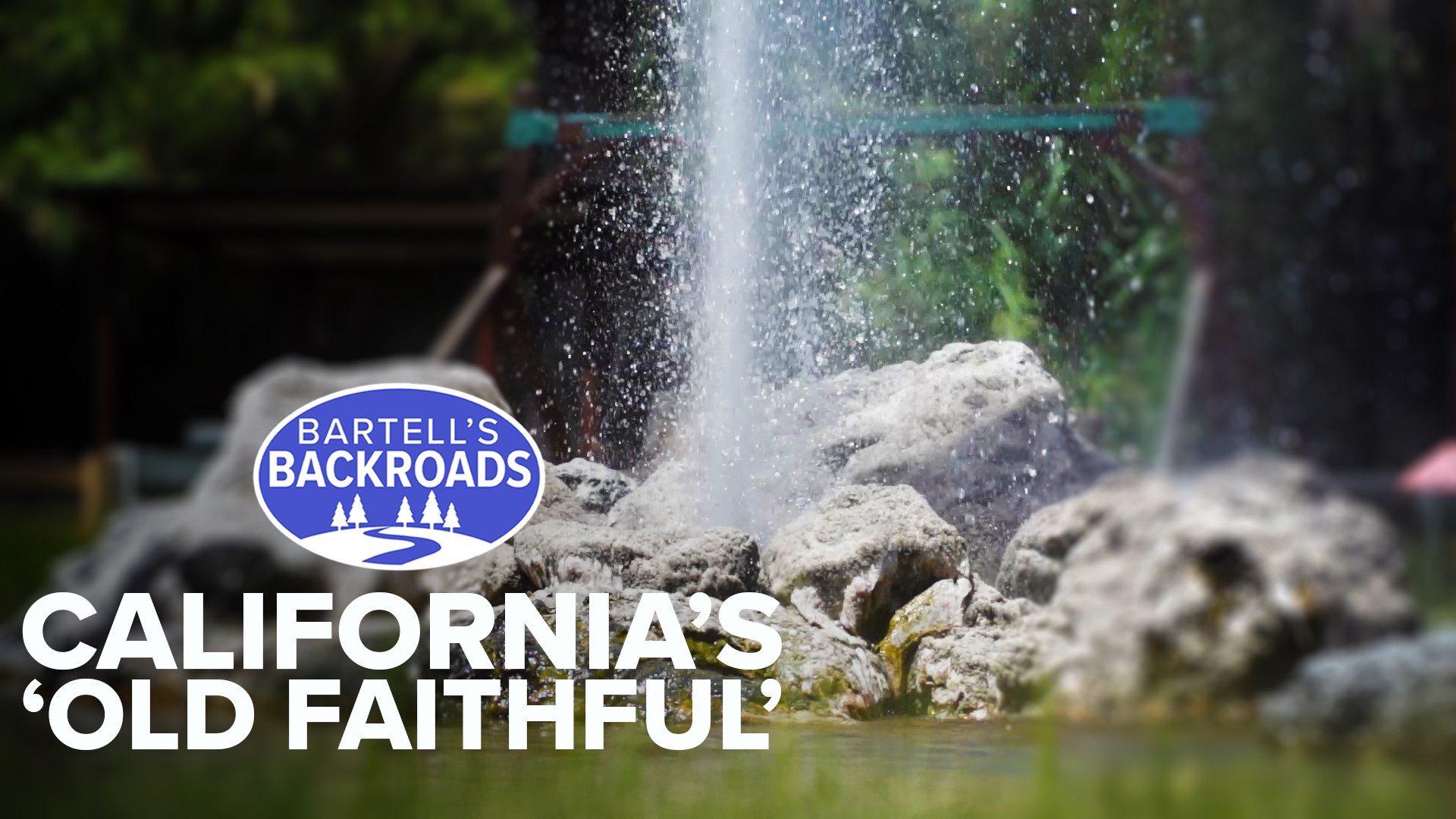 One of three 'old faithful' geysers in the world is a daytrip away from Sacramento in Napa County.