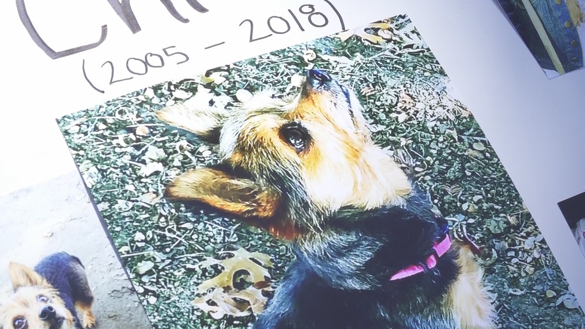 No justice for offleash dog killed by another dog in Sacramento