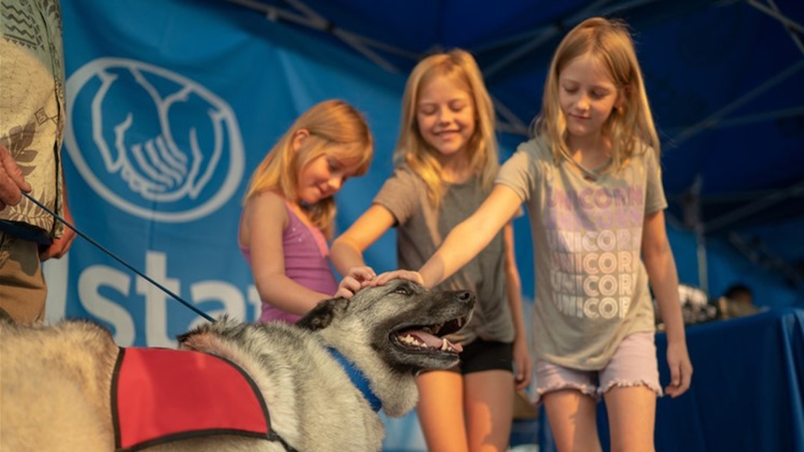 Allstate provides therapy dogs for Carr Fire evacuees near Redding ...