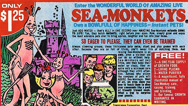 Sea-monkey Marketing - Lessons from a Legendary Ad - Story