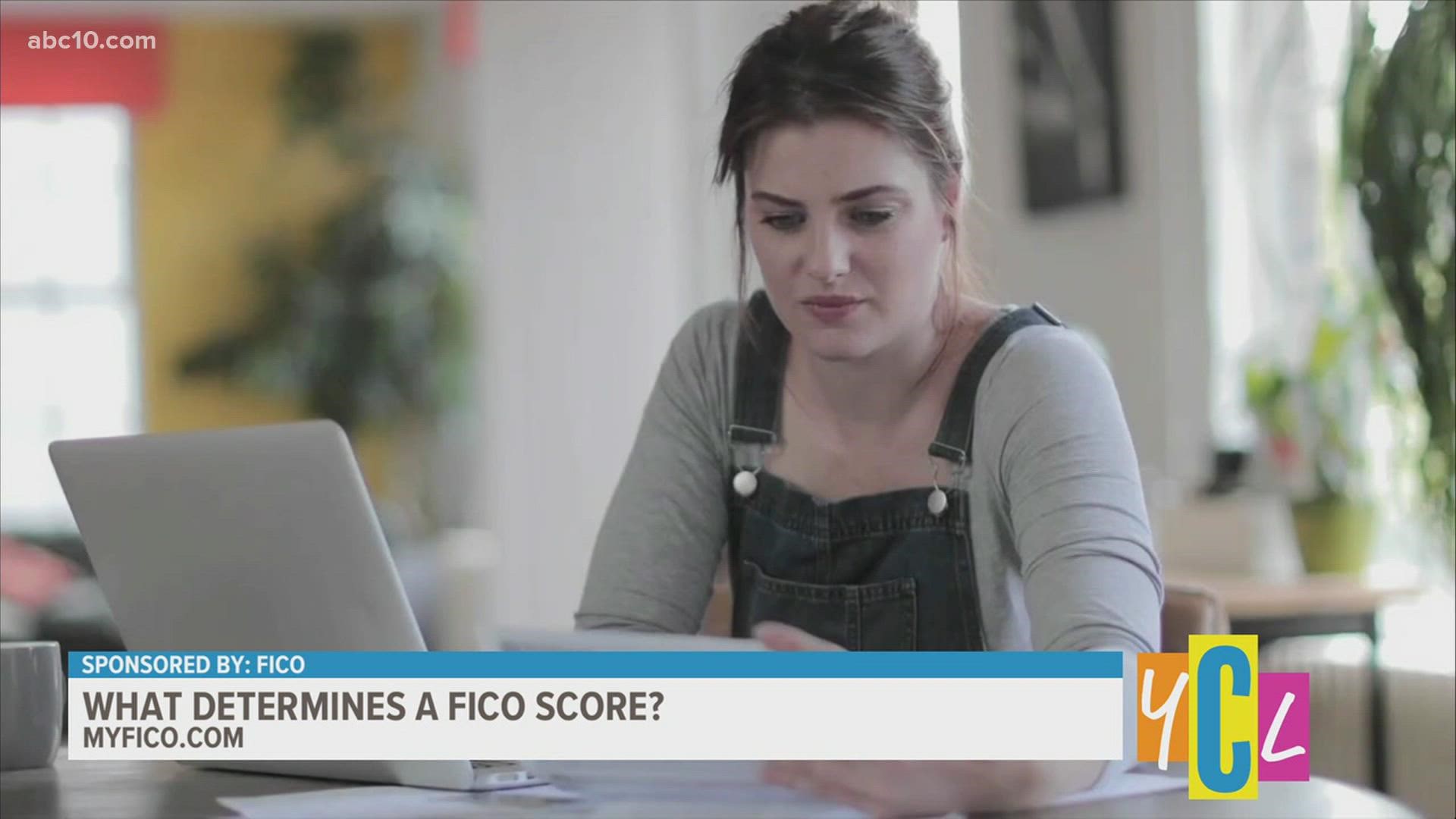 Learn the criteria that goes into determining credit and FICO scores for credit education month. This segment paid for by FICO.