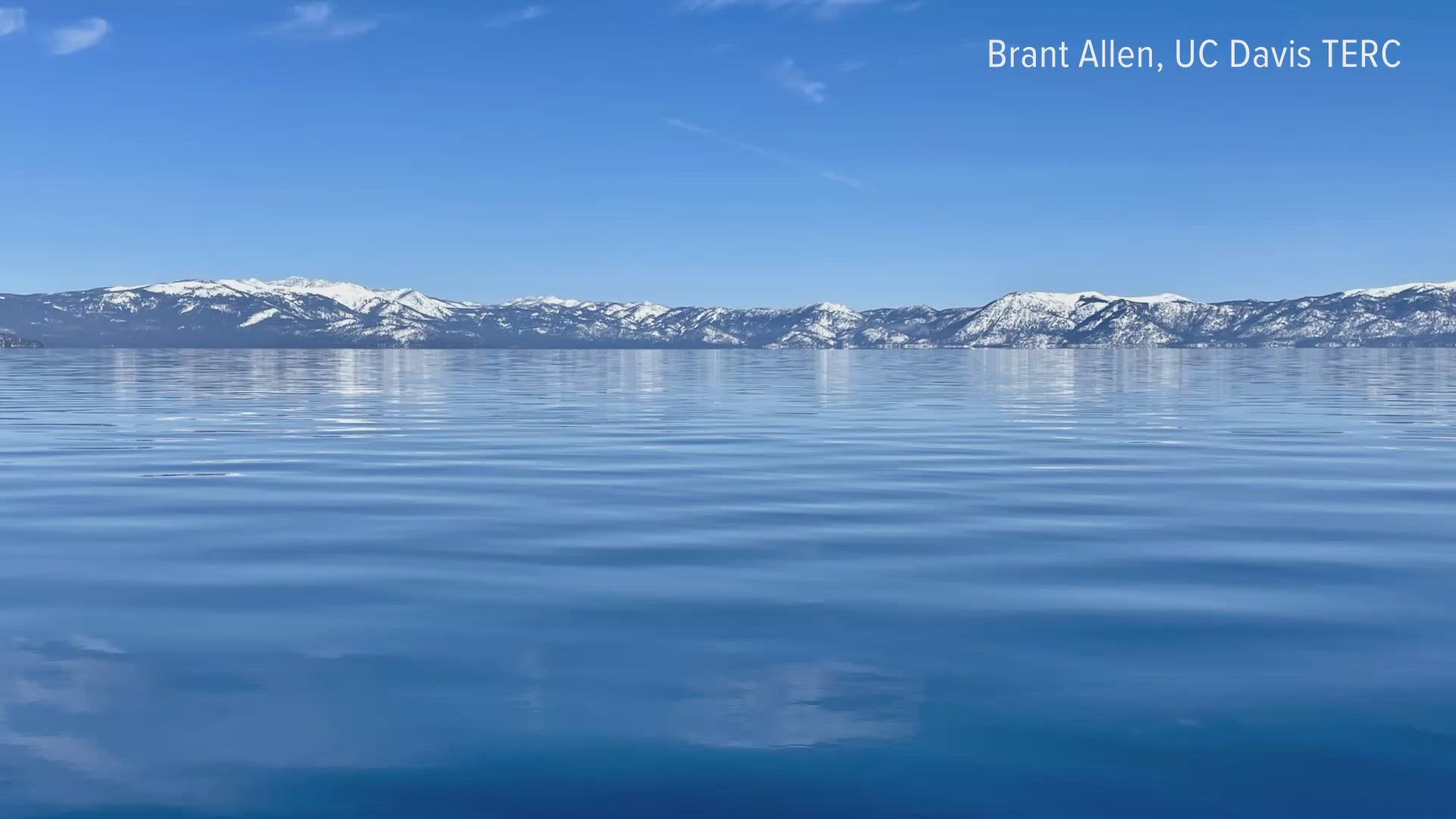 Experts: Lake Tahoe's clear, blue water caused by zooplankton
