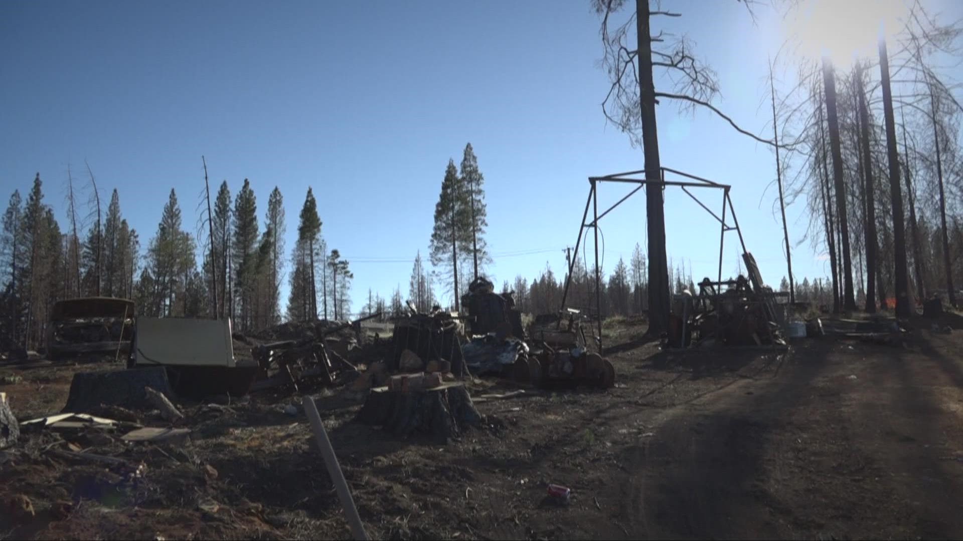 'It'll come back. You just have to have a little bit of faith in it' Caldor Fire survivors hope to rebuild in Grizzly Flats