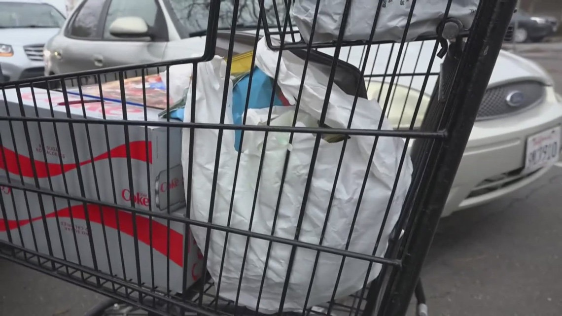 California's plastic bag ban at grocery stores now in effect