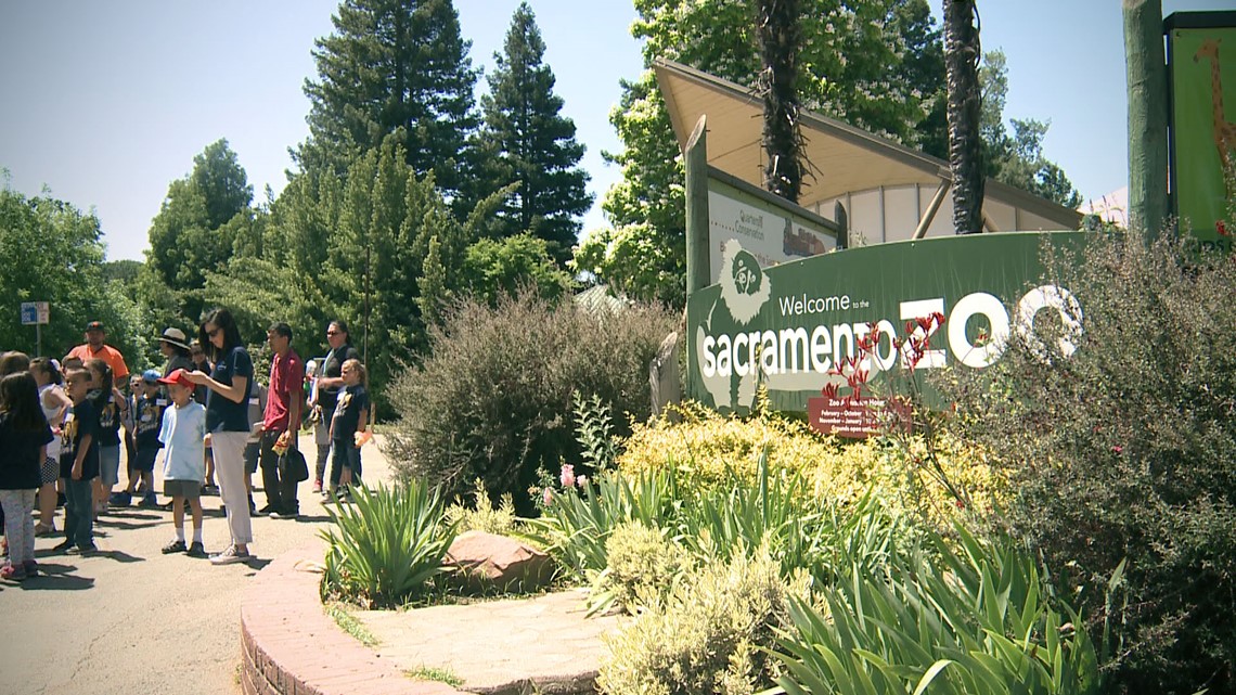 Sacramento Zoo has been in Land Park for 90 years. Is it time to move