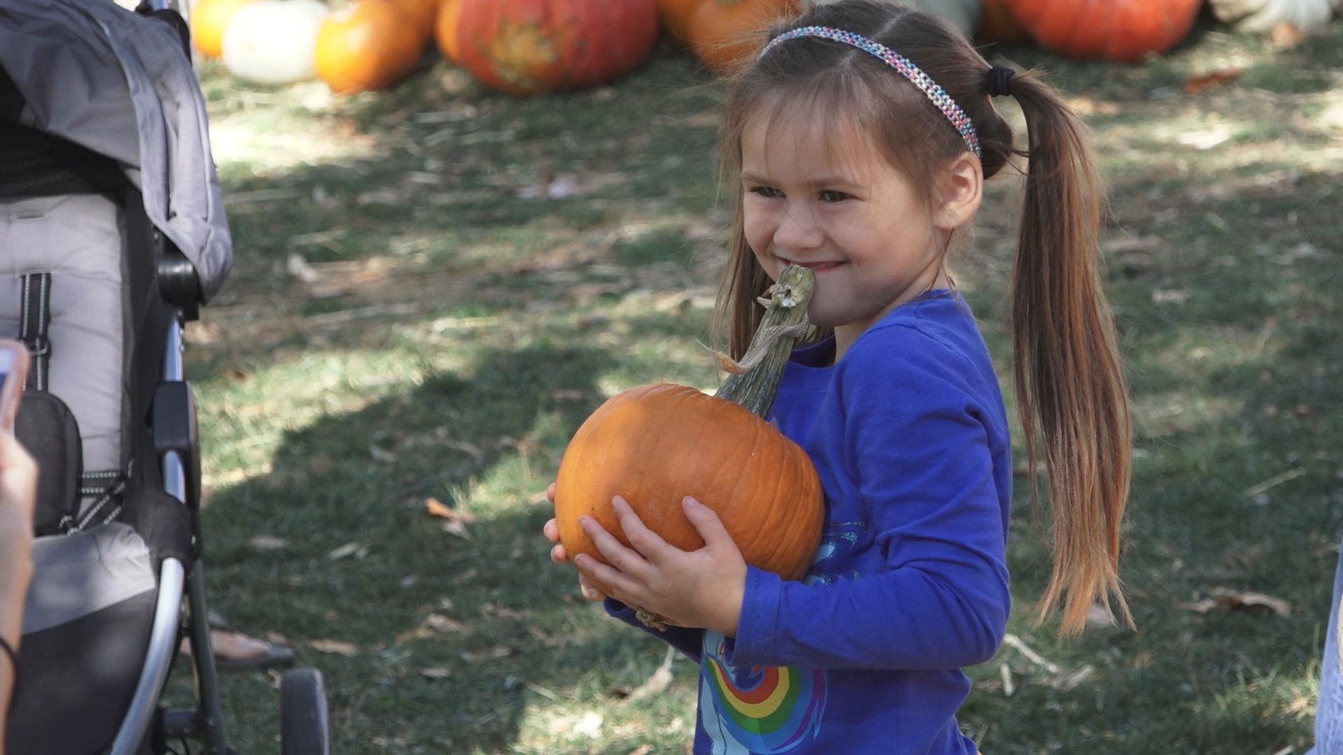 Elk Grove Giant Pumpkin Festival brings music, food, and family fun