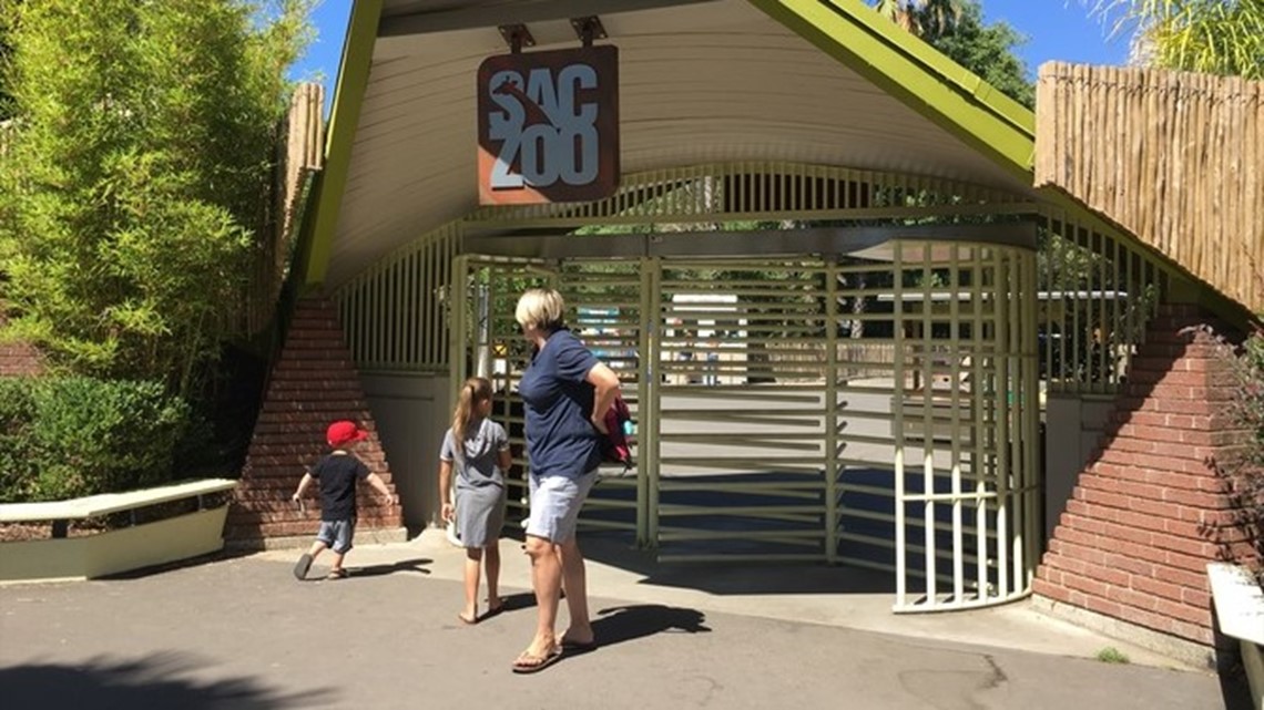 Sacramento Zoo explores options for new zoo