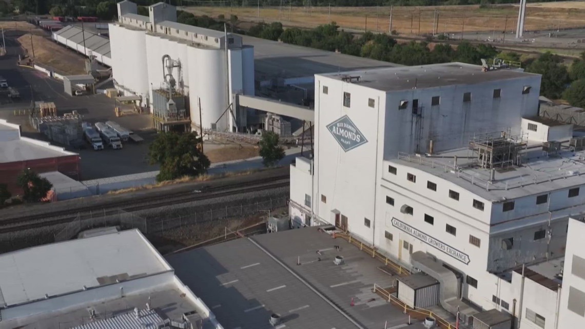 Sacramento's Blue Diamond plant closure reflects broader economic concerns, analyst warns