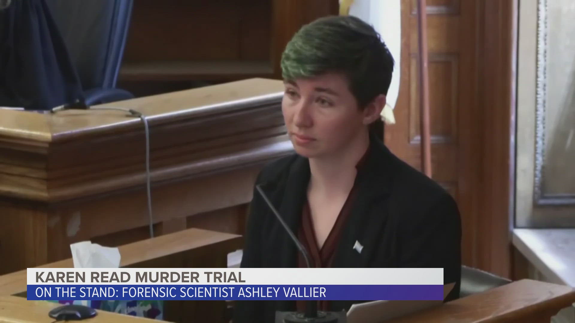 Karen Read Murder Trial: Ashley Vallier testimony from May 16, 2025. Ashley Vallier is a forensic scientist with the Massachusetts State Police Crime Lab.