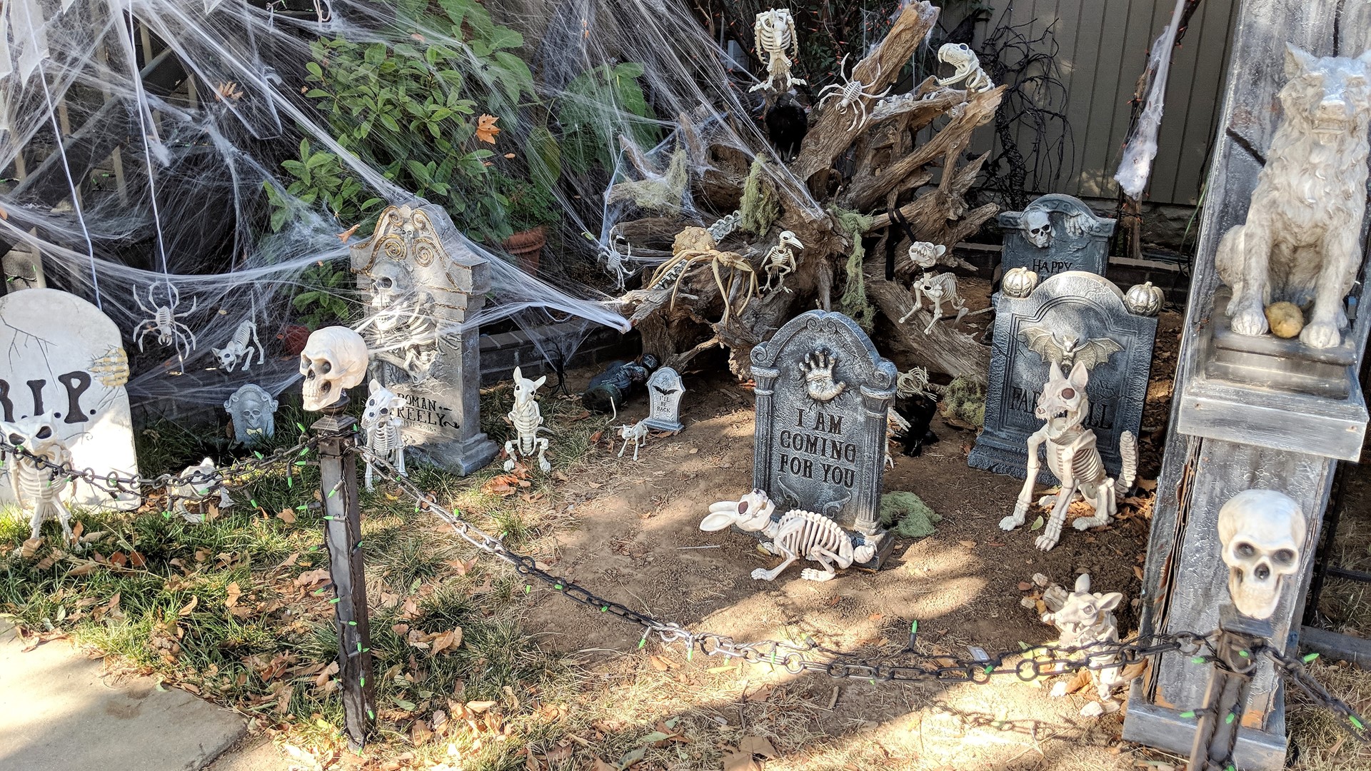 Oak Park 'Halloween House' dedicated to beloved postal clerk | abc10.com