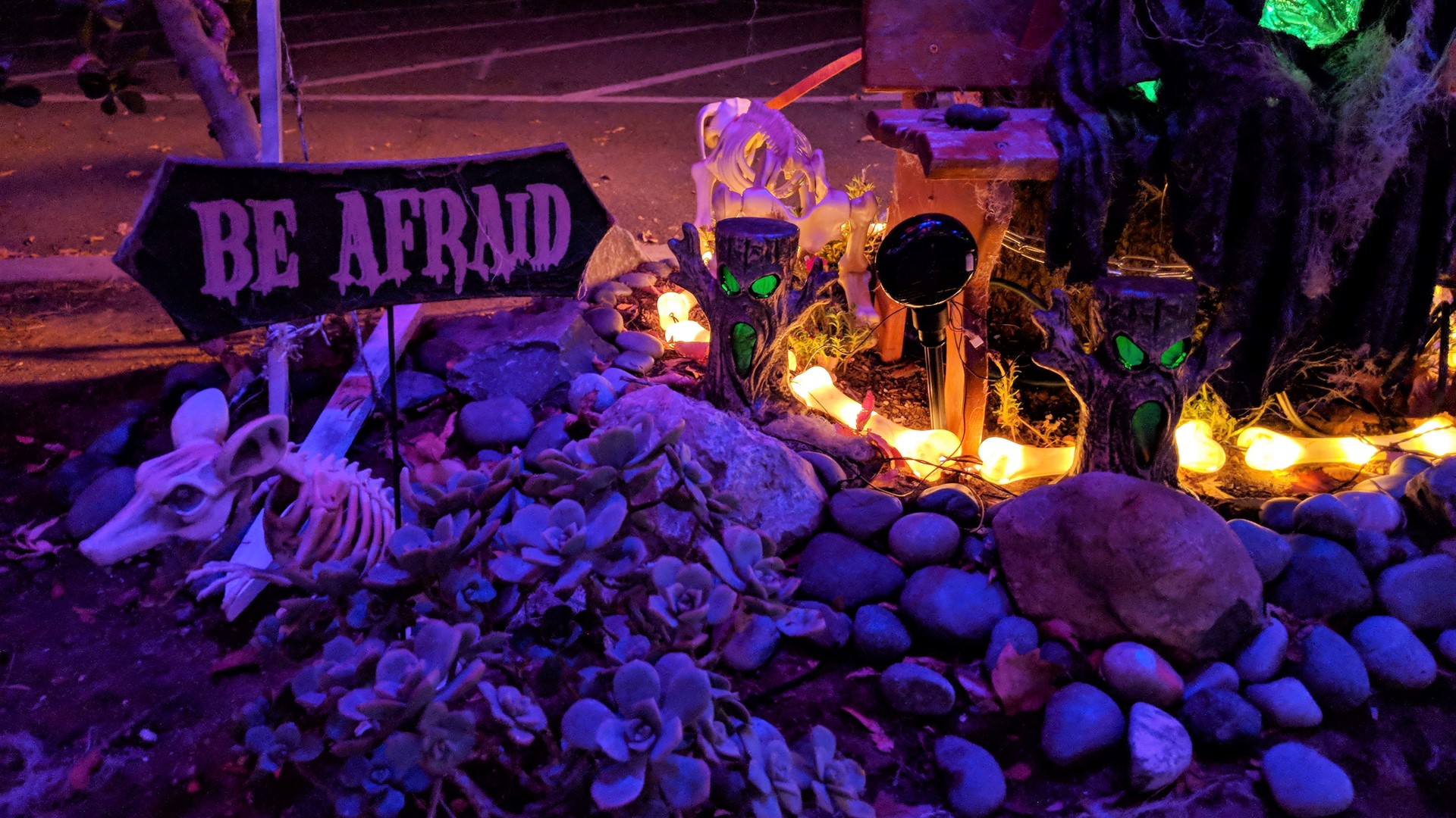 Oak Park 'Halloween House' dedicated to beloved postal clerk