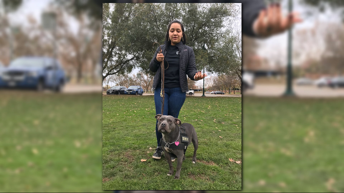 How do service dogs process death?