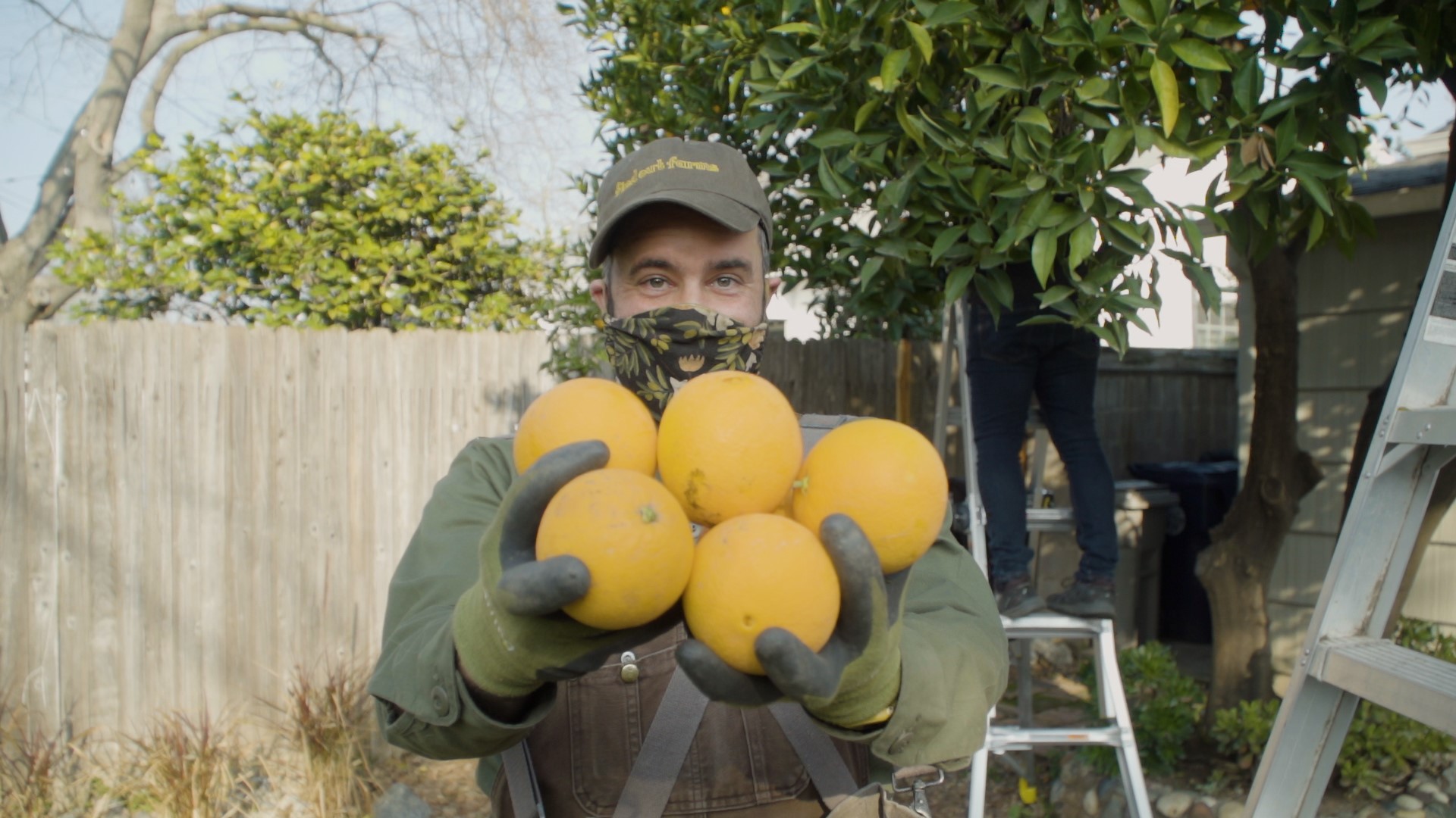 When the fruit is ripe in Sacramento, Matt Ampersand prepares for harvest. The yield he’s after isn’t in a field. It’s in his neighborhood’s backyard.