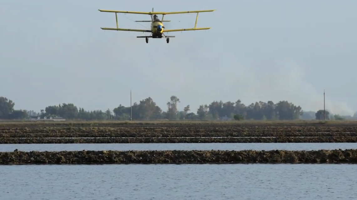 Amid worsening drought, California rice growers to cut back - Vimarsana News