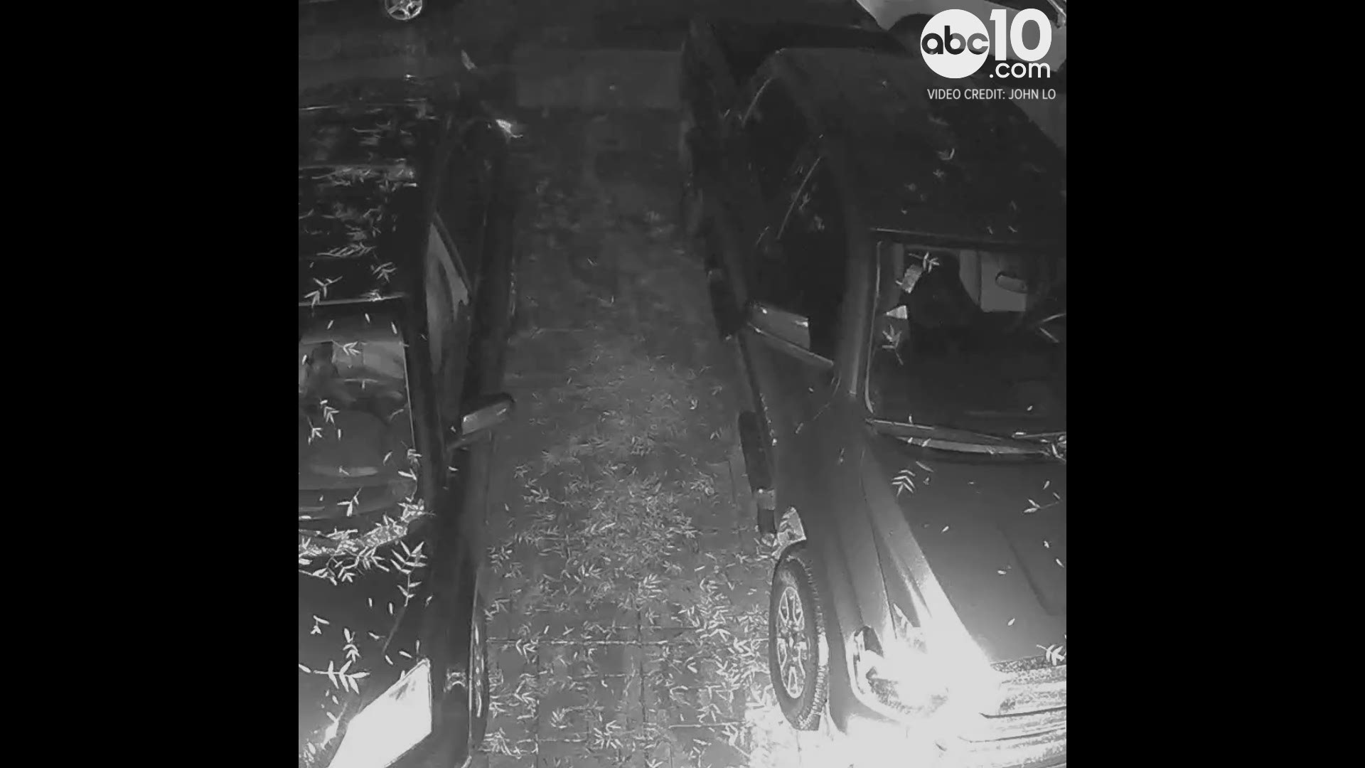 A man set up security cameras after someone tried to steal the catalytic converter from his car. A few days later, he caught the person trying to steal it again.