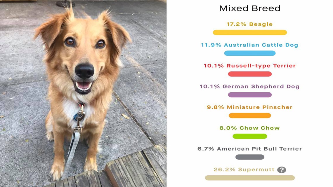 how accurate is dog dna tests for breed