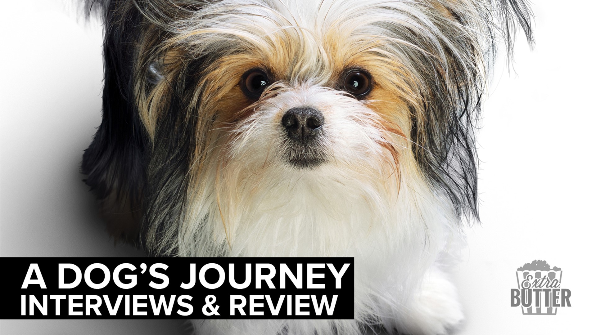 Hear from the stars of the movie 'A Dog's Journey.' Dennis Quaid & Marg Helgenberger talk about working with dogs and kids. Also Kathryn Prescott & Henry Lau.