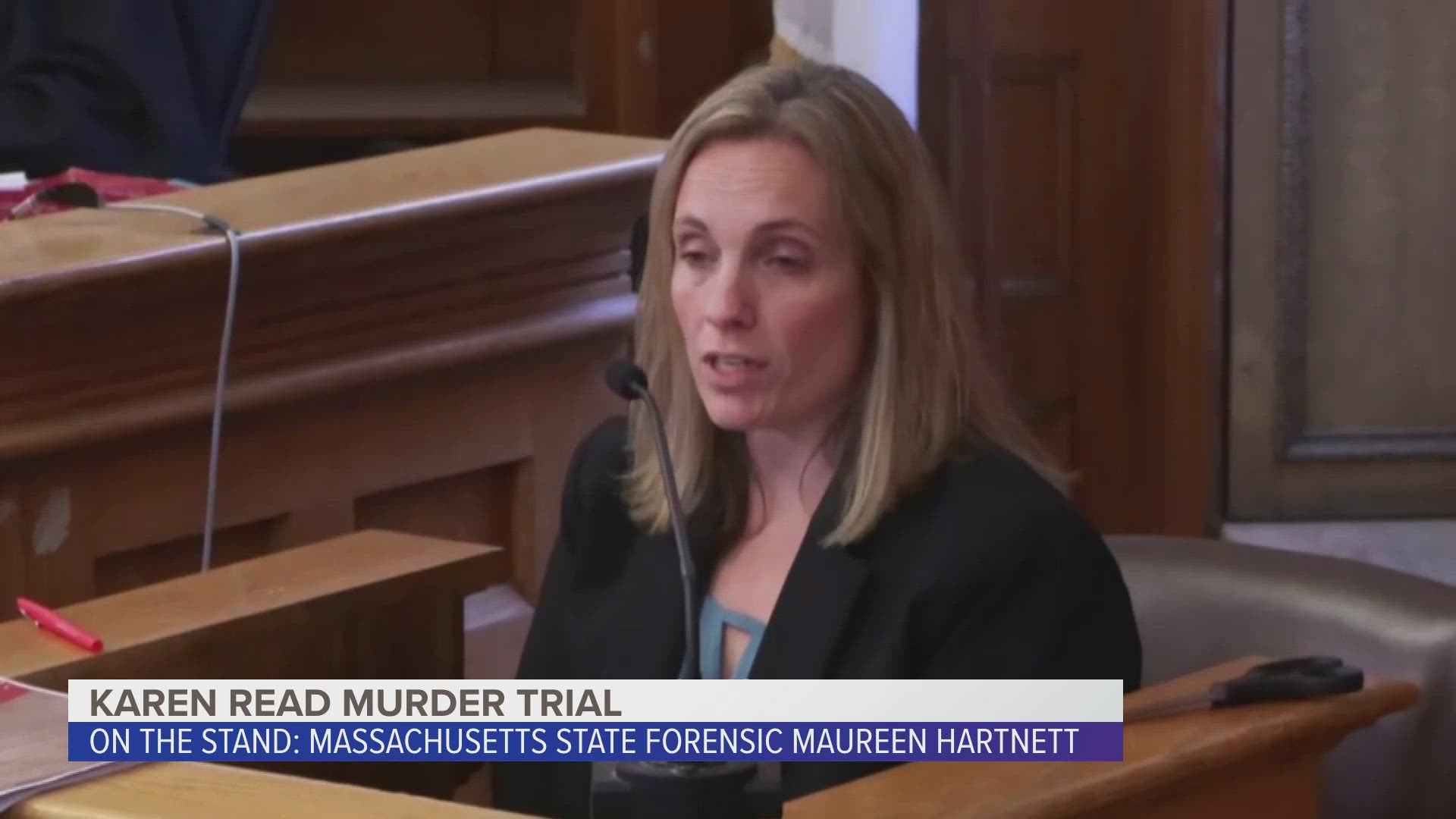Karen Read Murder Trial: Maureen Hartnett testimony part 2, from May 14, 2025. Maureen Hartnett is a Massachusetts State Forensic Scientist.