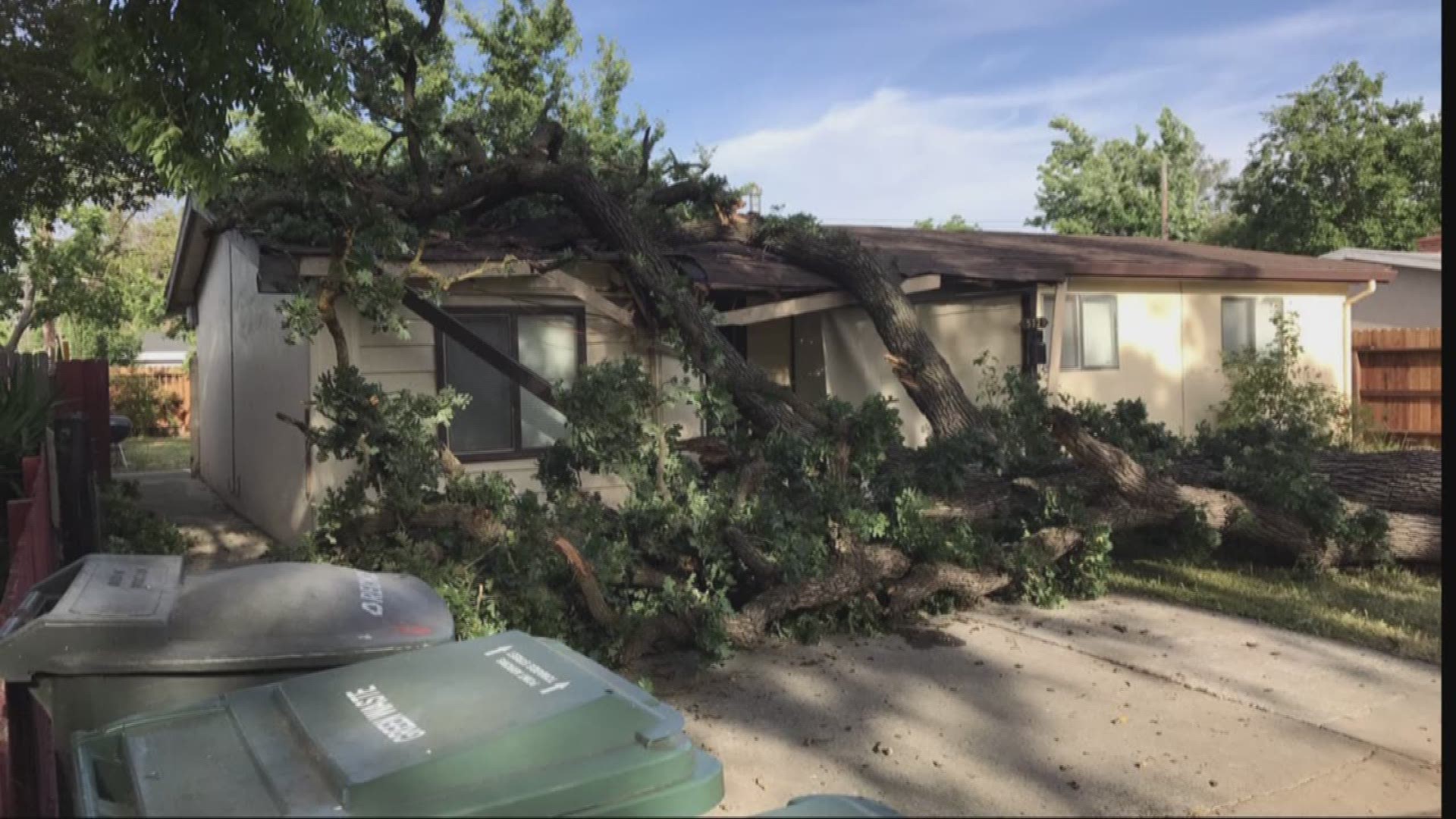 A huge tree crashed on top of a home on Mascot Avenue in South Sacramento, luckily no one inside the home was injured (May 25, 2017)