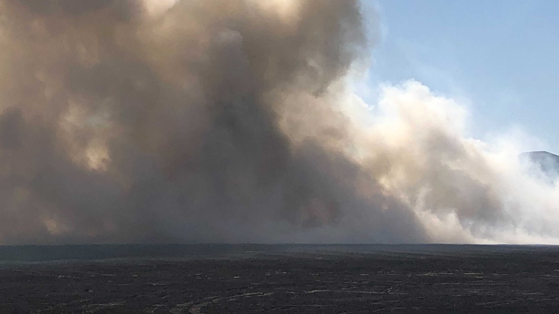 Brush fire breaks out in Elk Grove near Hwy. 99 - Vimarsana News