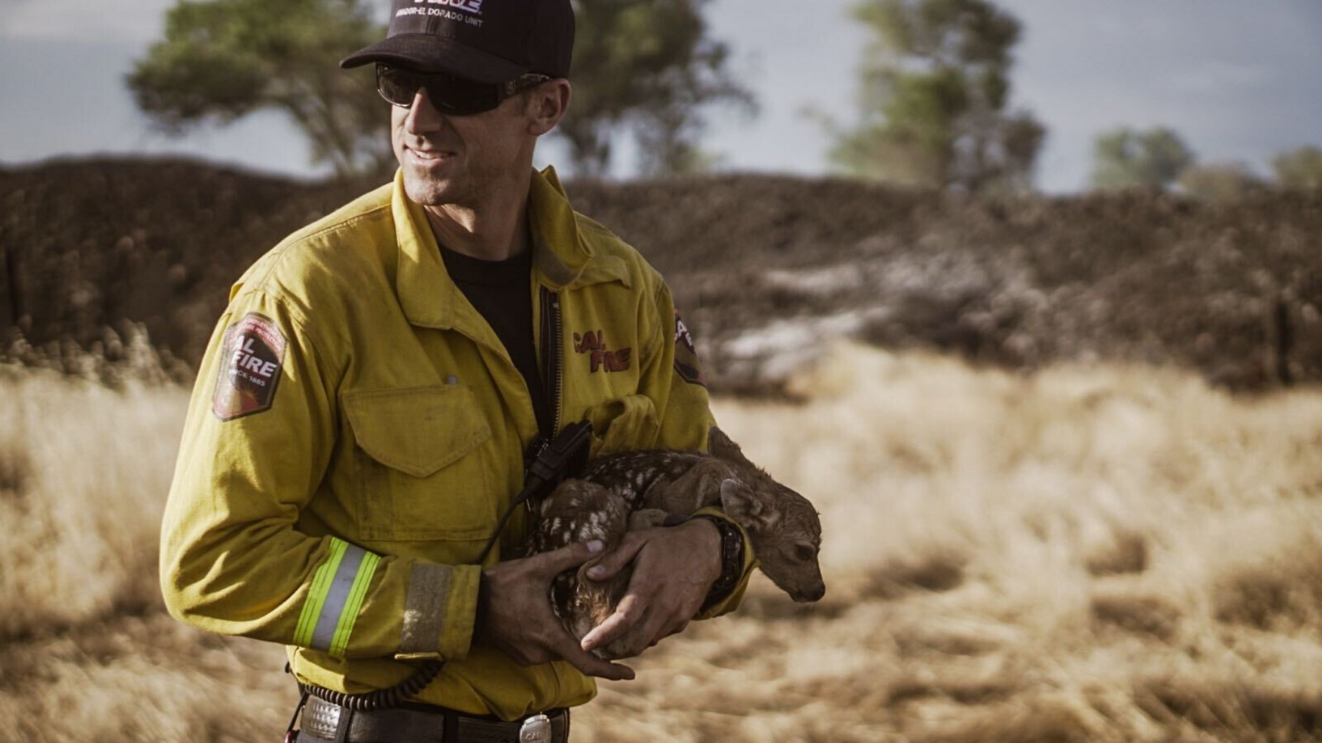 Firefighters have managed to increase containment on the Grant Fire near Rancho Cordova to 60%. They also rescued a fawn while battling the 5,000 acre fire.