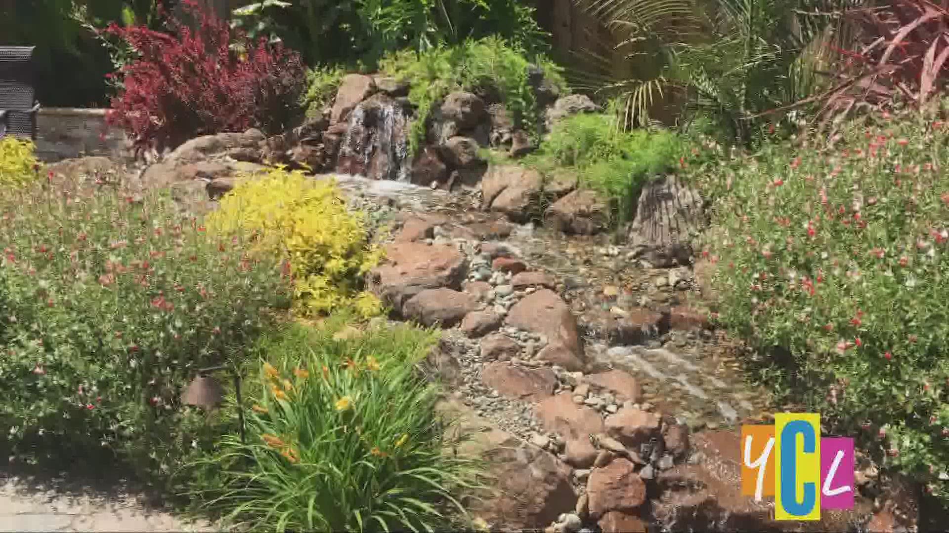 Nathan Beeks's canvases are his landscapes & his sculptures are his water features.  The following is a paid segment sponsored by Nor Cal Home & Landscape Expo.