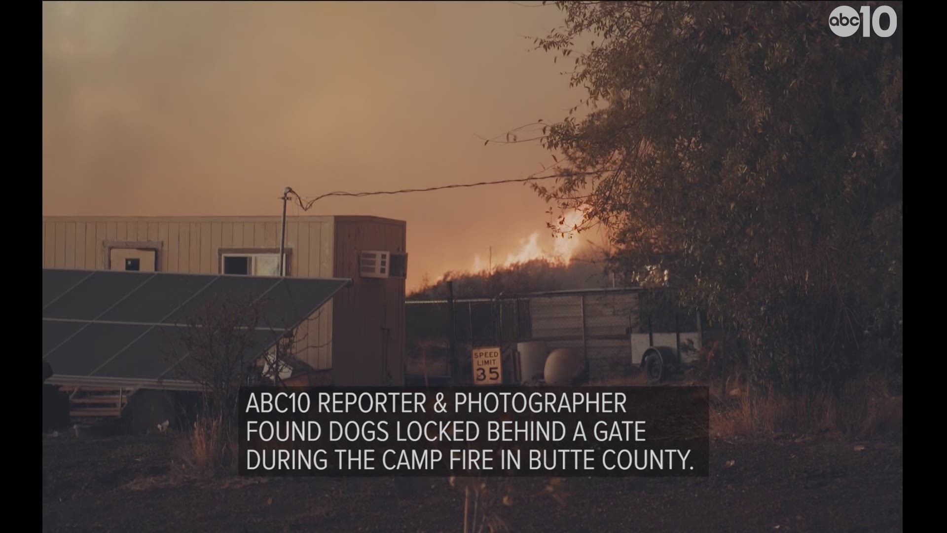 ABC10 REPORTER & PHOTOGRAPHER, BRANDON RITTIMAN AND PEDRO GARCIA, FOUND DOGS LOCKED BEHIND A GATE DURING THE CAMP FIRE IN BUTTE COUNTY.