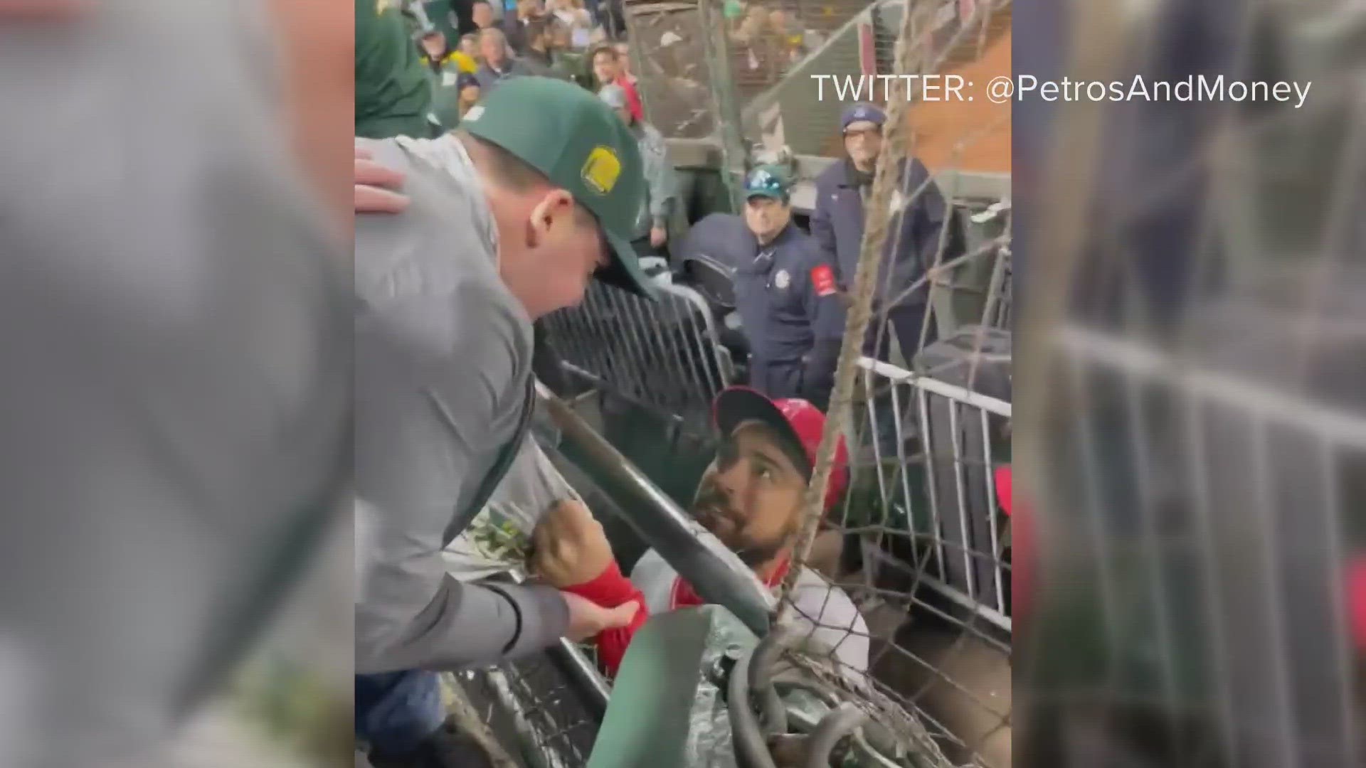 Video: MLB investigating Angels player who grabbed As fan
