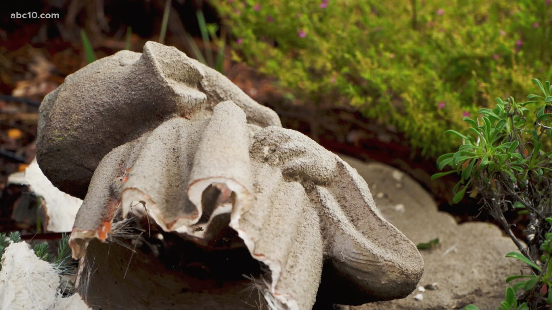 Statues were found in pieces at the historic garden established in 2012 as a collaboration between veterans and the Forgotten Soldier Program