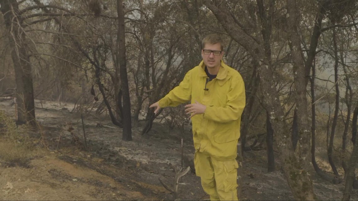 Mosquito Fire Portion of Placer County left untouched by wildfire