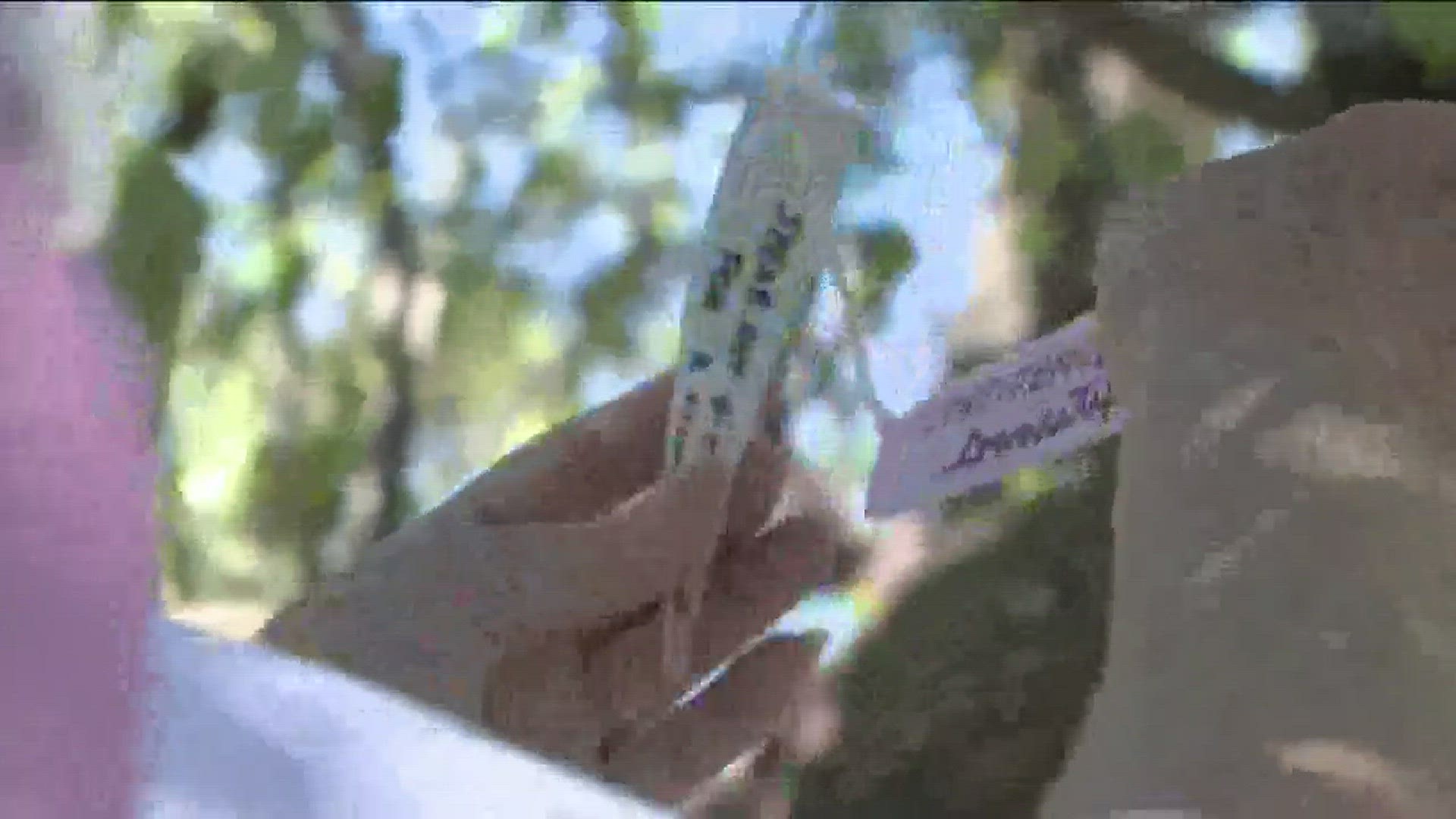 Land Park woman puts positive messages on butterfly tags in Sacramento.