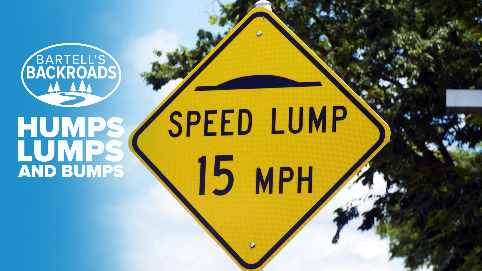 The backroads of Sacramento are covered with several unique kinds of speed-reducing lumps. What's the difference? John Bartell found an expert to explain each one.