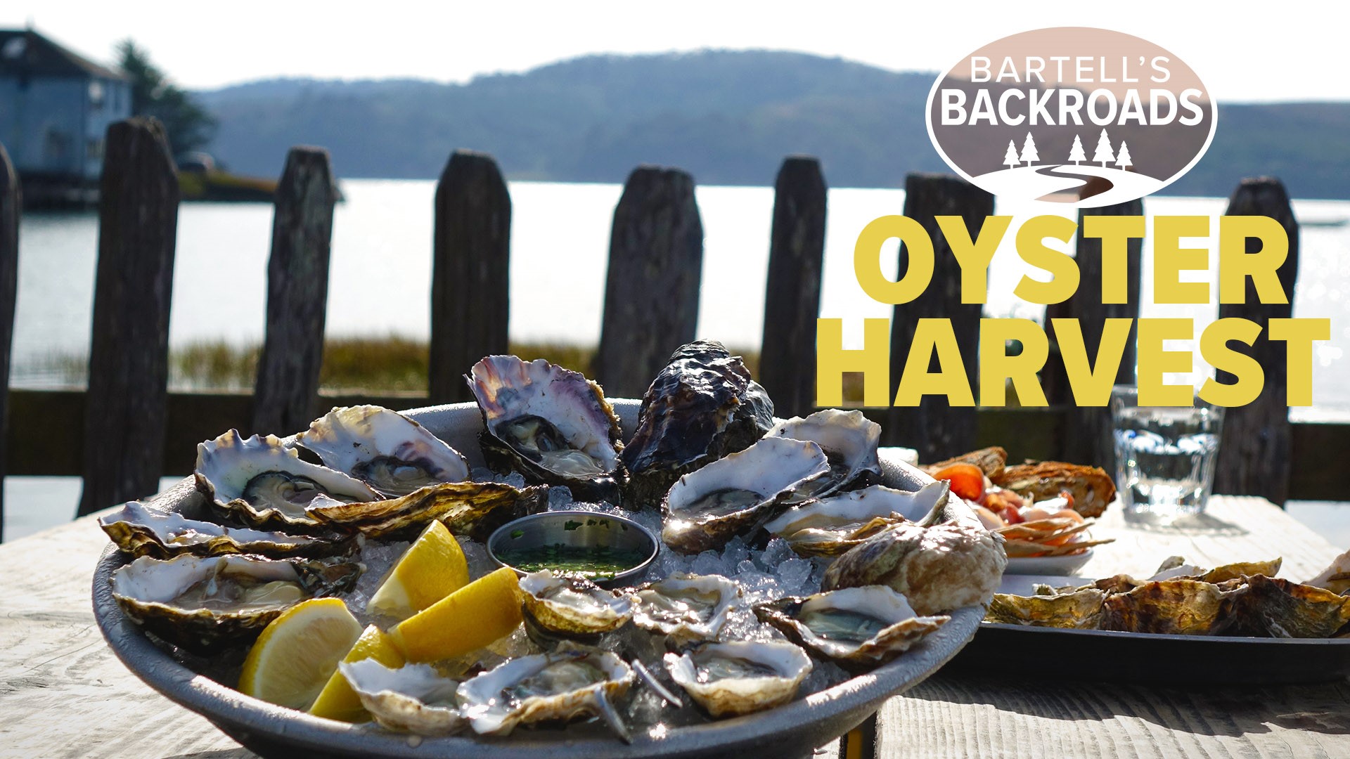 The tasty shellfish are water filters so do yourself a favor and head to Tomales Bay to eat; you are helping to clean the ocean.