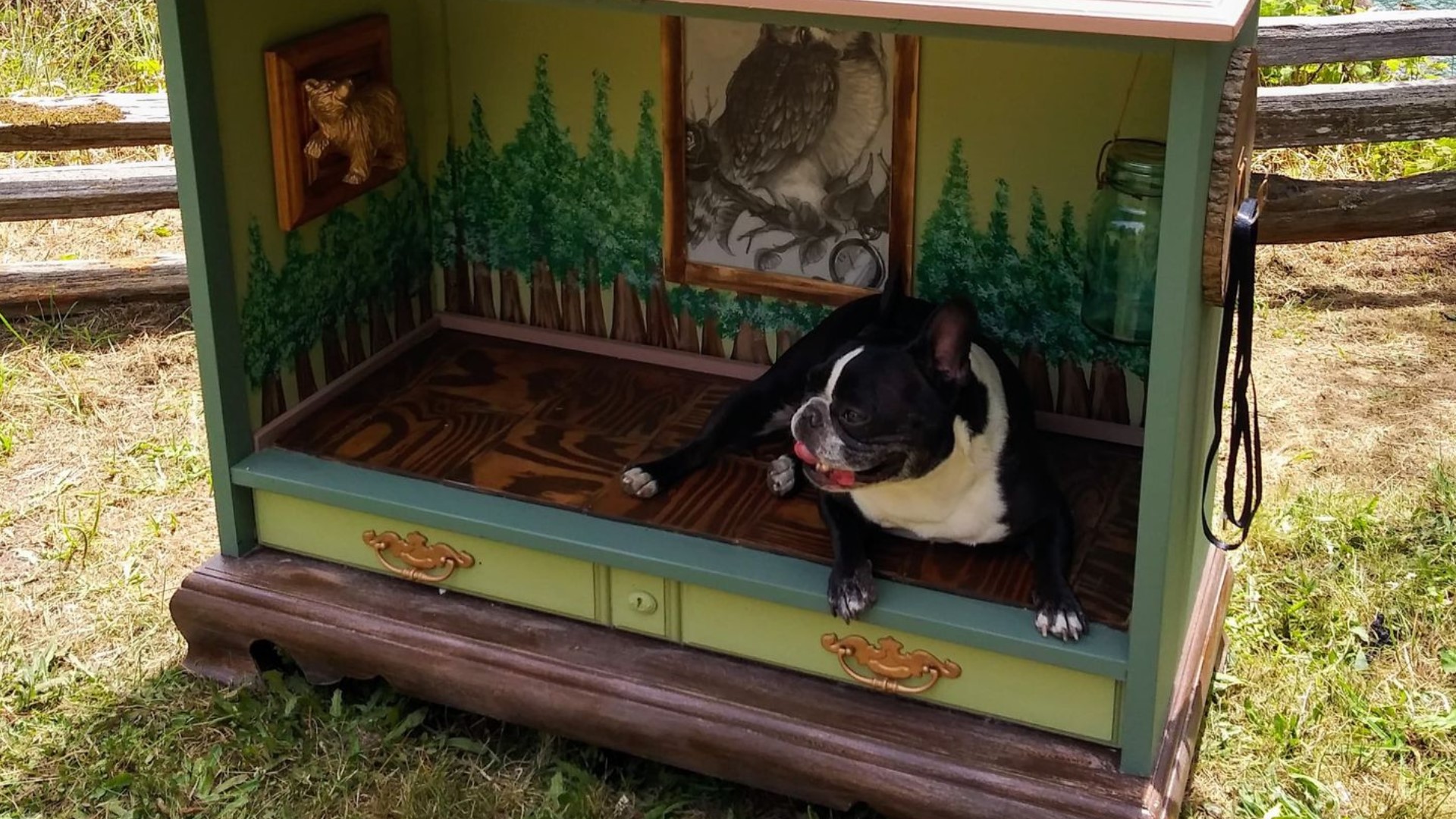 Jackson Isborn from Citrus Heights creates unique, themed pet homes out of old television consoles.