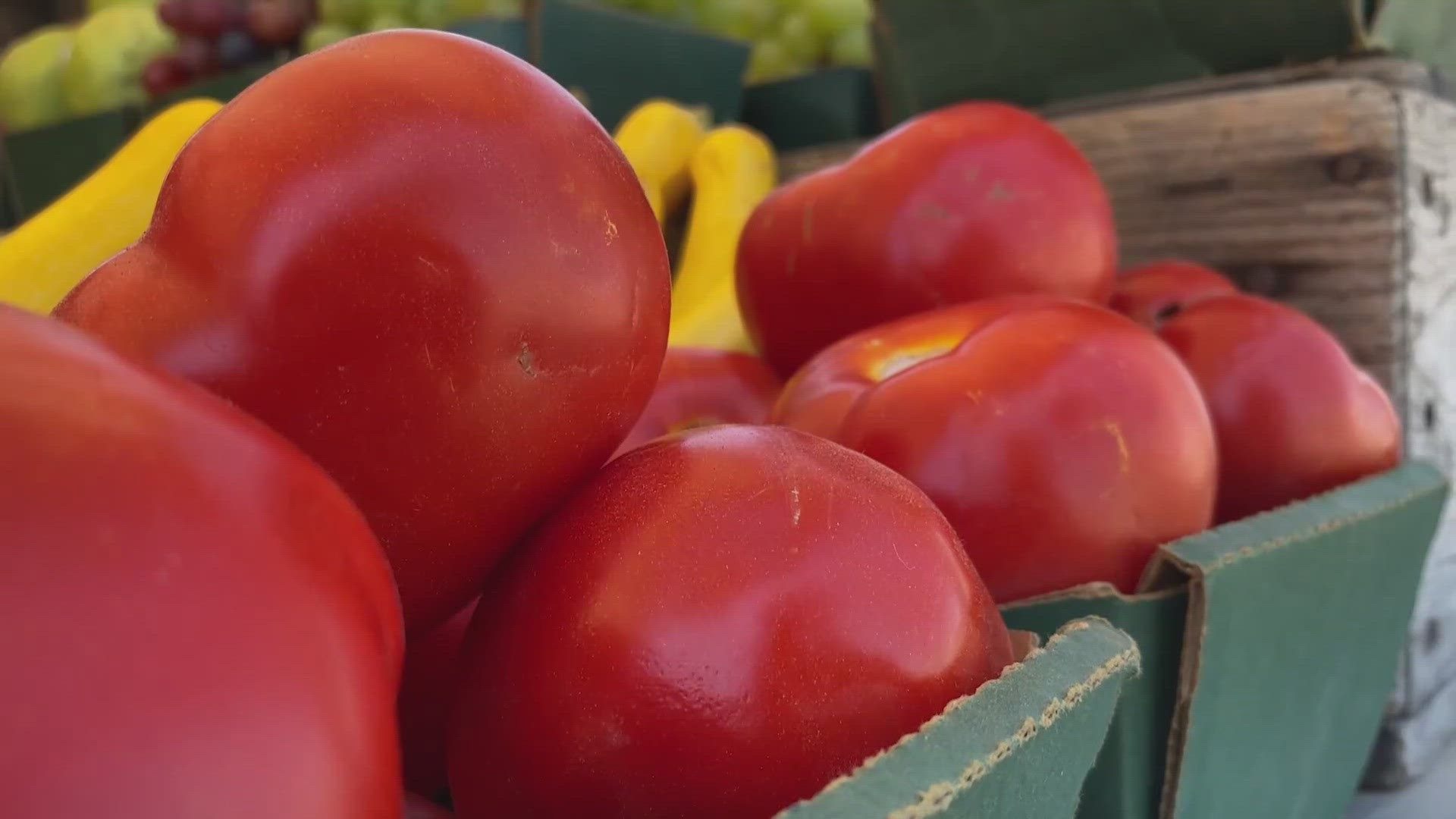 Here's how new California regulations are threatening the protection of tomatoes