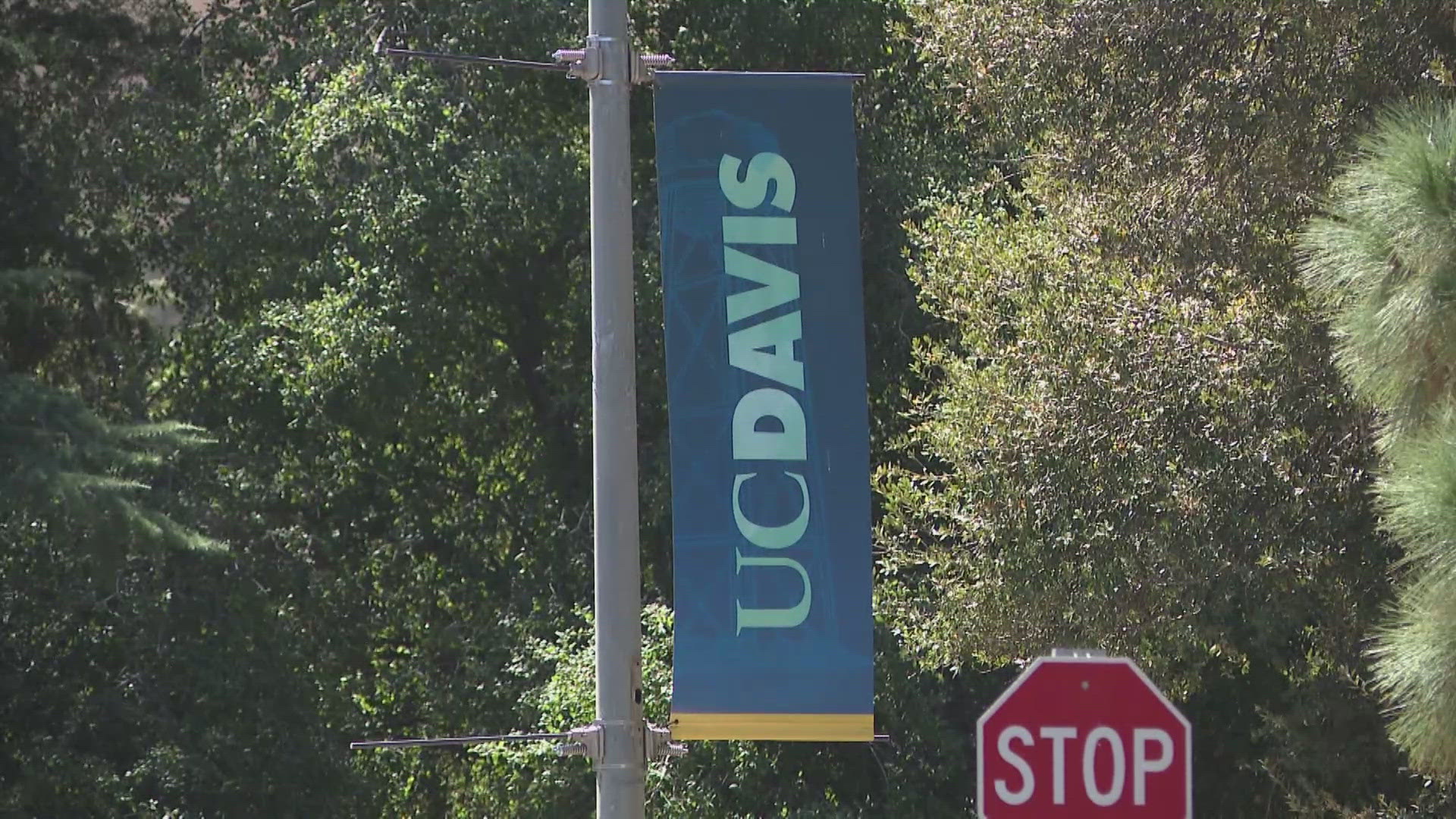 Man arrested, accused of kidnapping woman on UC Davis campus