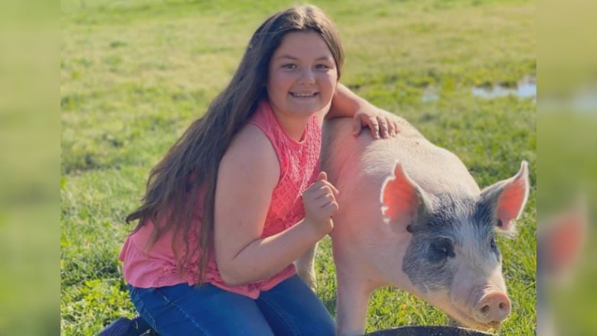 Normally, Brylinn Haley would be preparing her pig for auction at the Stanislaus County Fair but with the fair's cancellation, she now plans to donate the meat.
