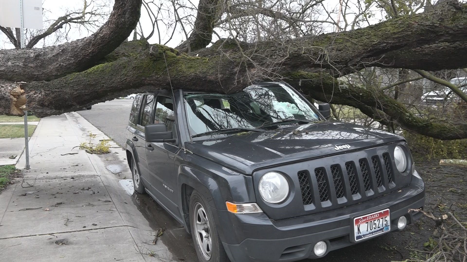 Crews were out cutting down trees and assessing damage after the storm. Many residents say the city did not do enough to prepare for a storm like this.