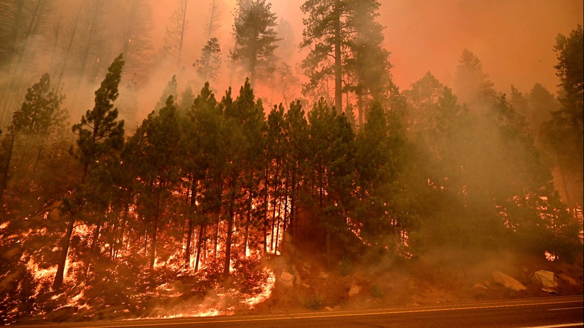 Why is the Central Valley's famous 'Tule Fog' disappearing?