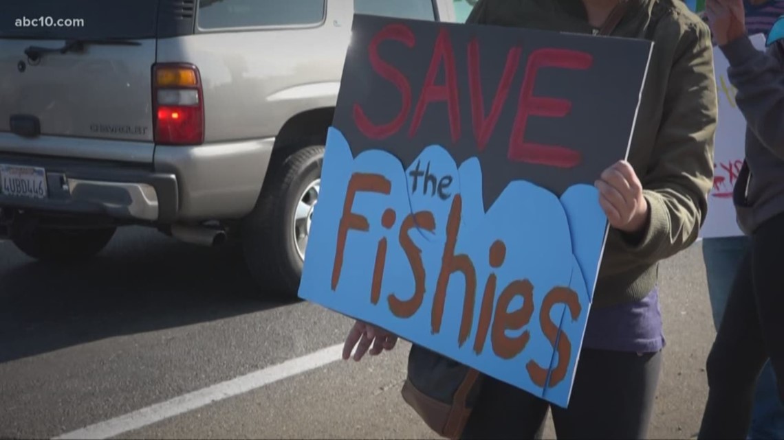 PETA calls for investigation of Folsom's SeaQuest aquarium