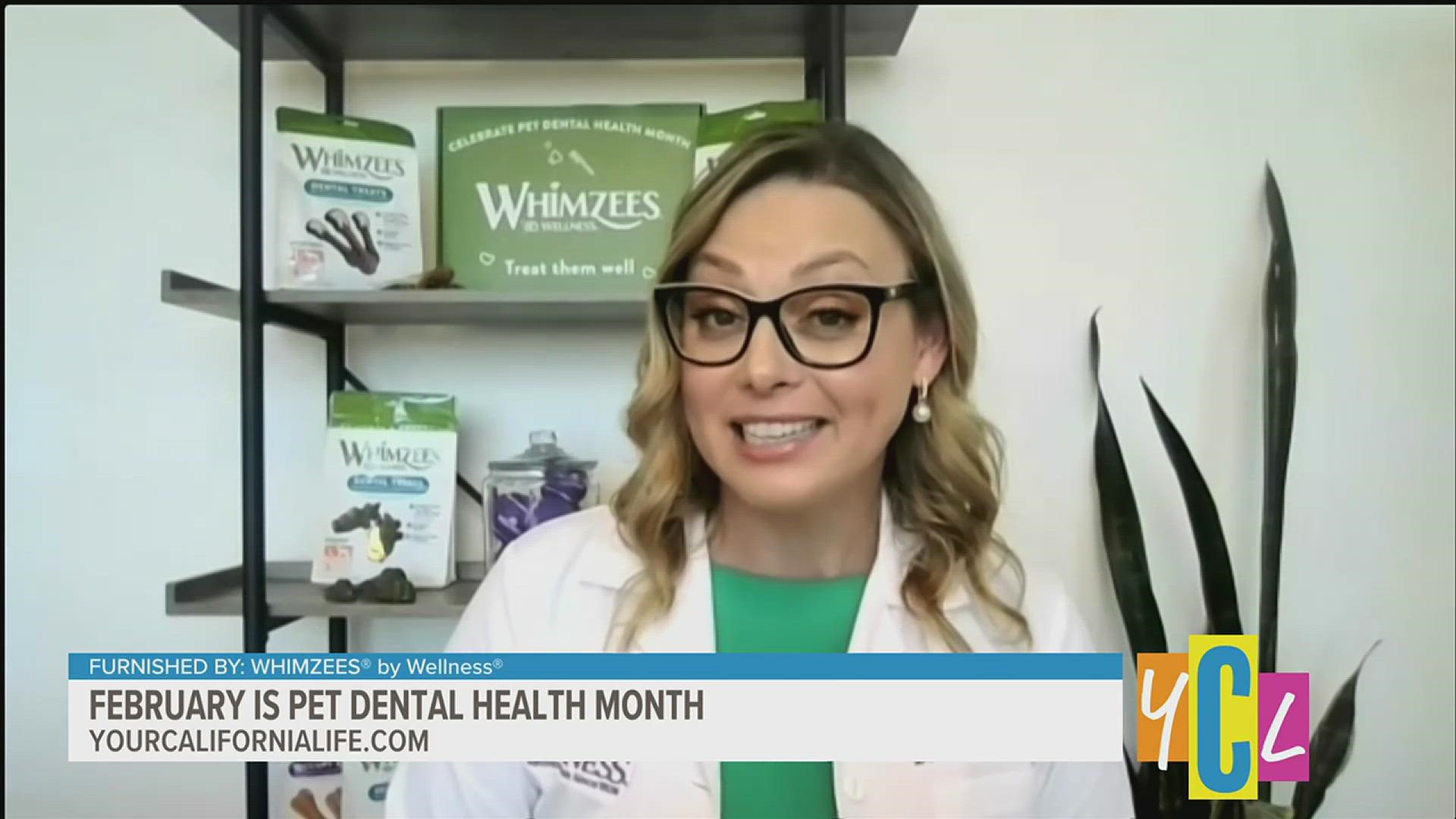 It's the month to be aware of your pet's dental health! Veterinarian, Danielle Bernal, shares her tips for taking care of your furry friend's health.