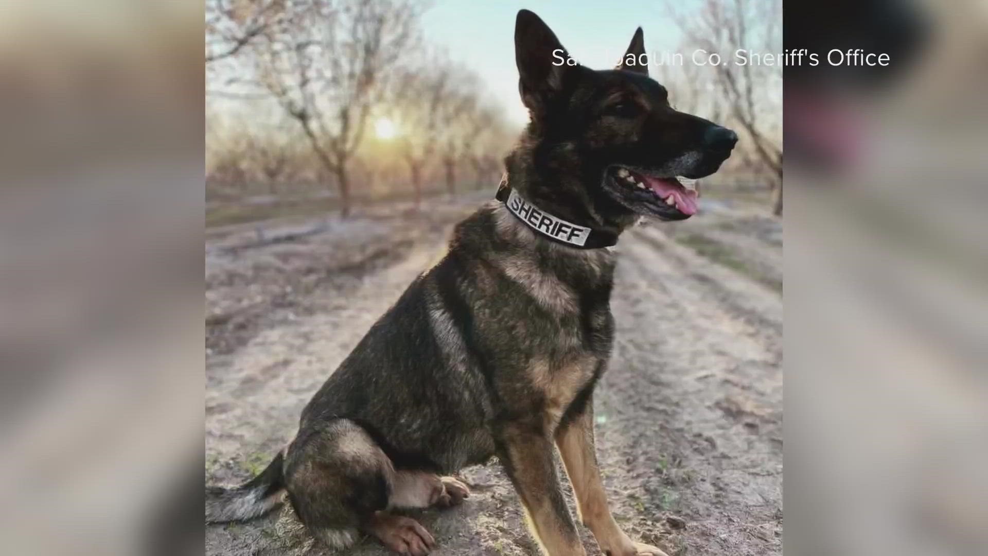 The suspect who K9 Duke was attempting to detain is now in custody, officials said.
